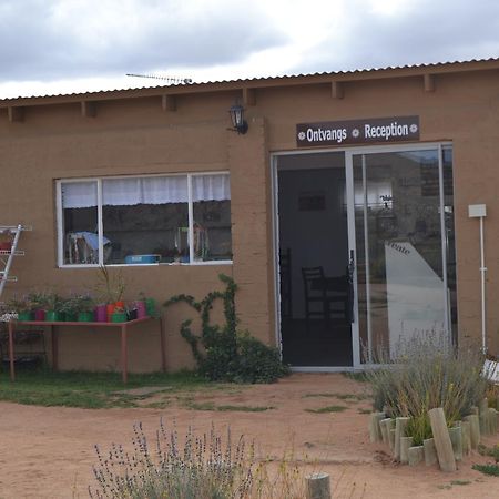 Sperrgebiet Lodge Springbok Exterior foto